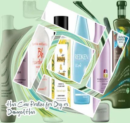 Best hair care products for dry damaged hair